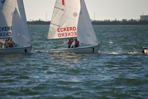 Picture 10
