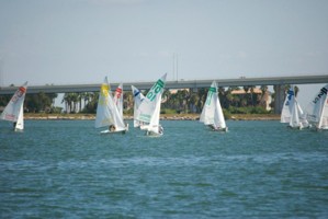Picture 102
