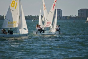 Picture 13