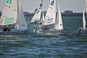 Picture 15