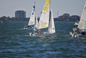 Picture 17