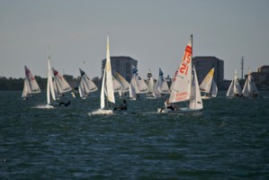 Picture 24