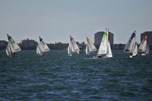 Picture 30