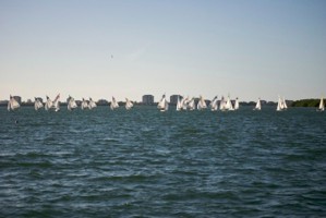 Picture 35