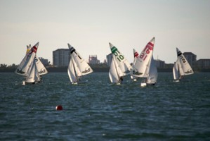 Picture 38