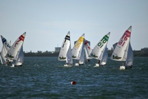 Picture 41