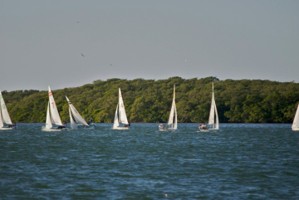 Picture 43