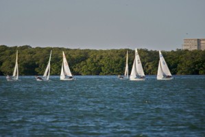 Picture 44