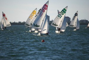 Picture 45