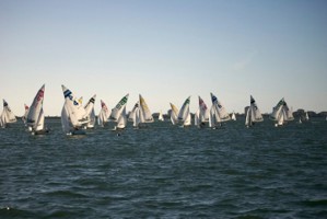 Picture 48