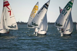Picture 51