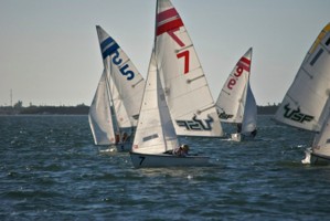 Picture 52