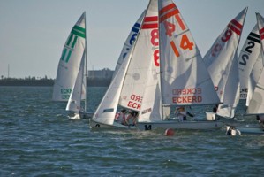 Picture 6
