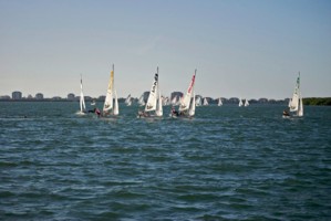 Picture 61