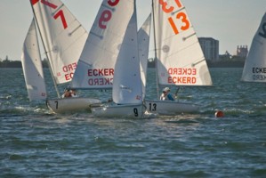 Picture 7