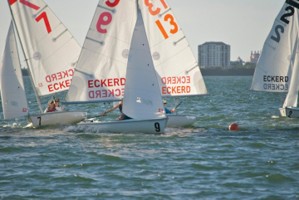 Picture 8