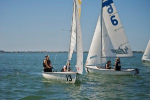 Picture 81
