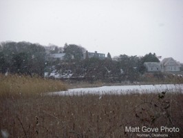 Picture 1