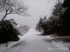 Picture 12