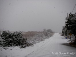 Picture 13