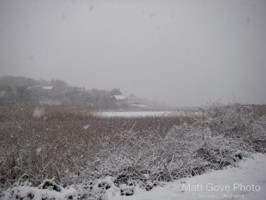 Picture 14