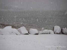 Picture 19