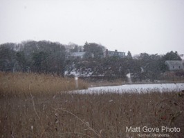 Picture 3