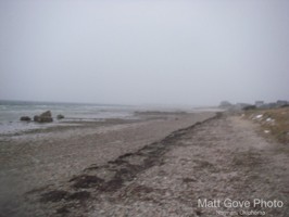 Picture 7