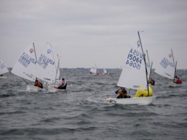 Picture 13