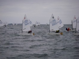 Picture 4