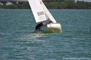 Picture 16