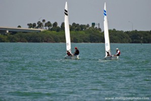 Picture 21