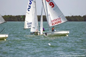 Picture 7