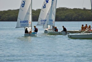 Picture 11