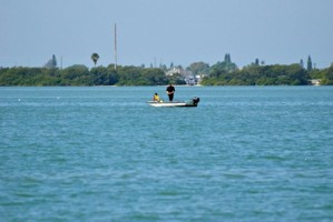 Picture 12