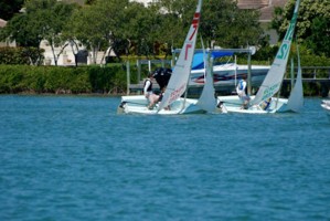 Picture 21