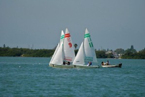 Picture 24