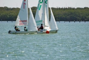 Picture 26
