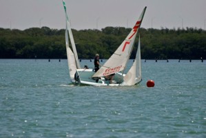 Picture 27