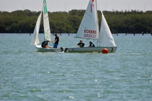 Picture 28