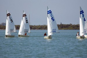 Picture 3