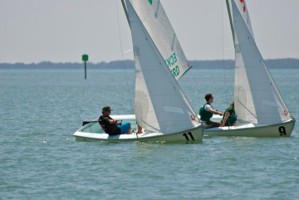 Picture 31