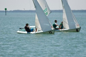 Picture 32
