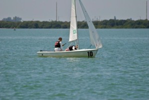 Picture 34
