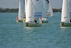Picture 5