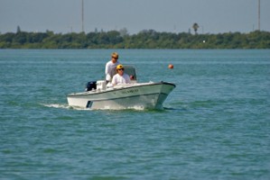 Picture 6