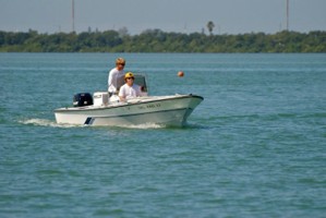 Picture 7