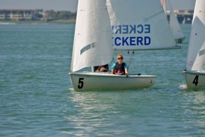 Picture 8