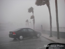 Picture 11
