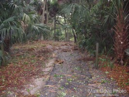 Picture 24